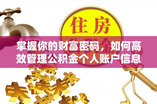 耀州掌握你的财富密码，如何高效管理公积金个人账户信息