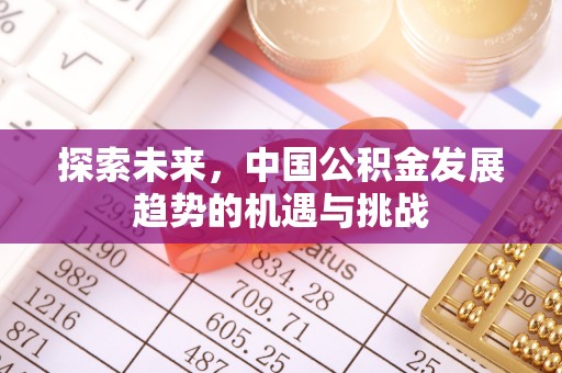 耀州探索未来，中国公积金发展趋势的机遇与挑战
