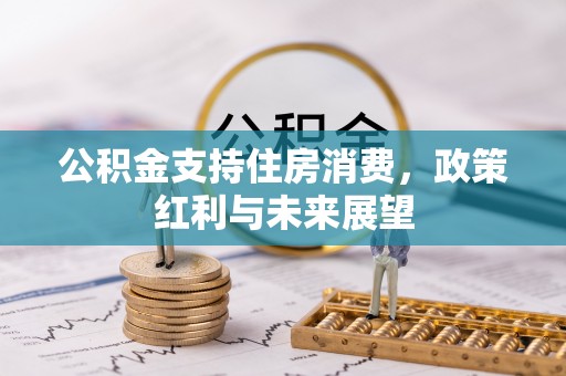 耀州公积金支持住房消费，政策红利与未来展望