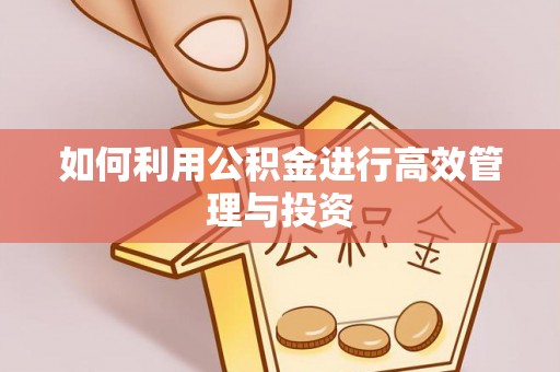 耀州如何利用公积金进行高效管理与投资